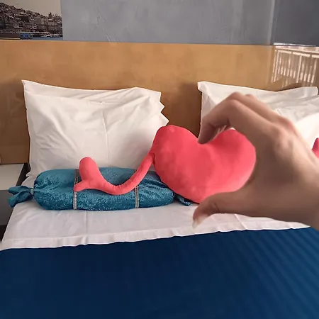 24 Novissimo Estudio Cedofeita Ac Olive *