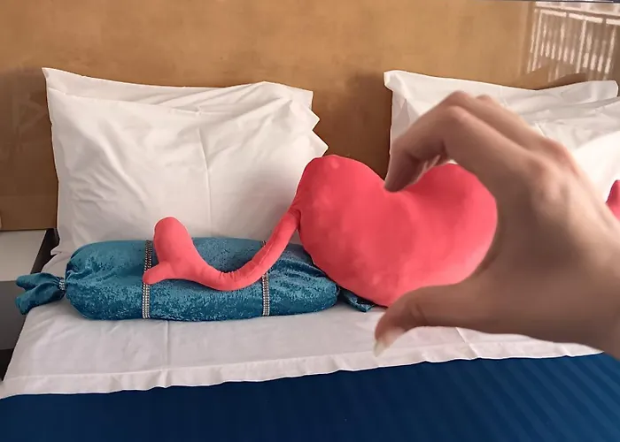 24 Porto Novíssímo Estudio Cedofeita AC Olive *